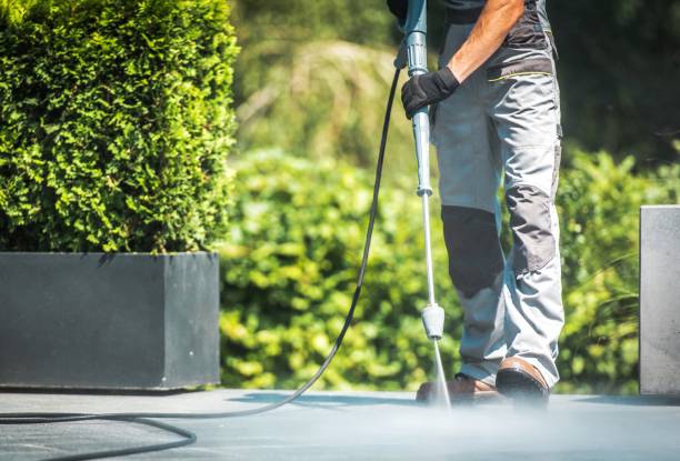 Best Building Exterior Washing  in Holly Lake Ranch, TX